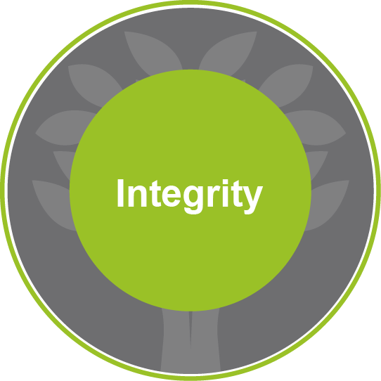 Integrity values icon