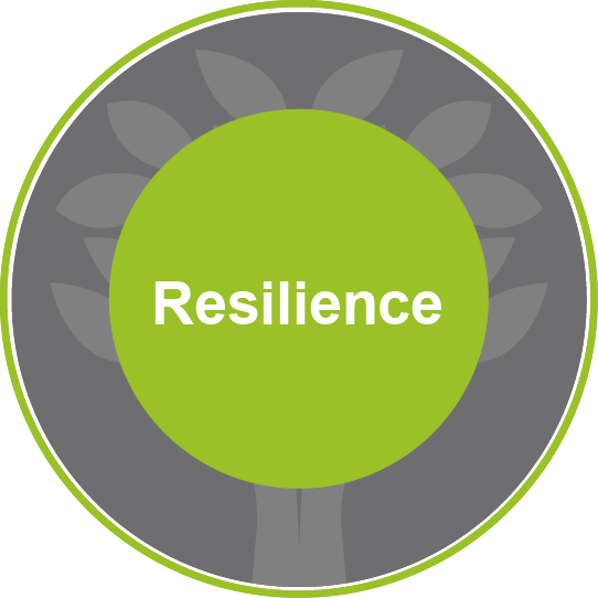 Resilience values icon